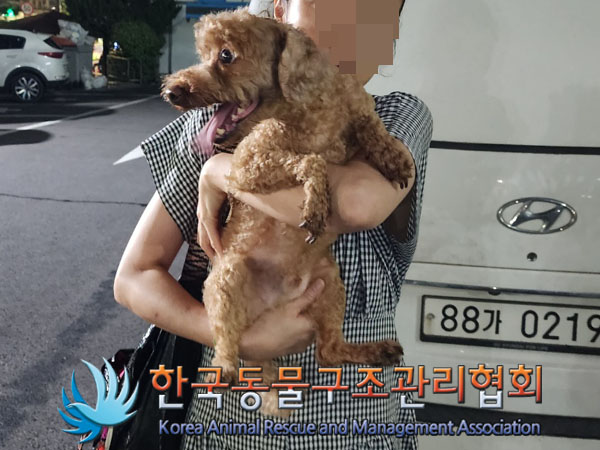 한국동물구조관리협회_411311202300622